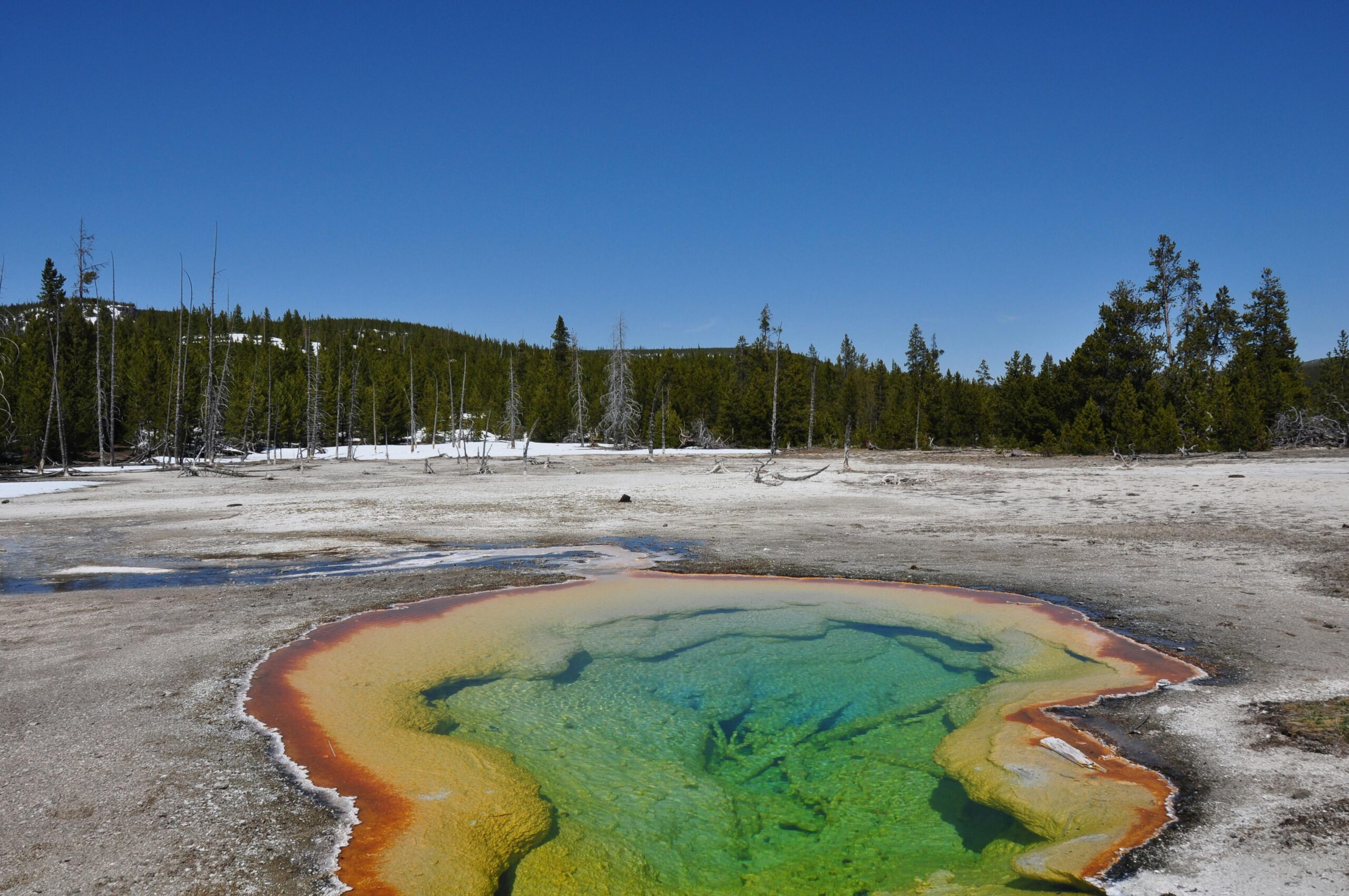 Microbios en ambiente ácido