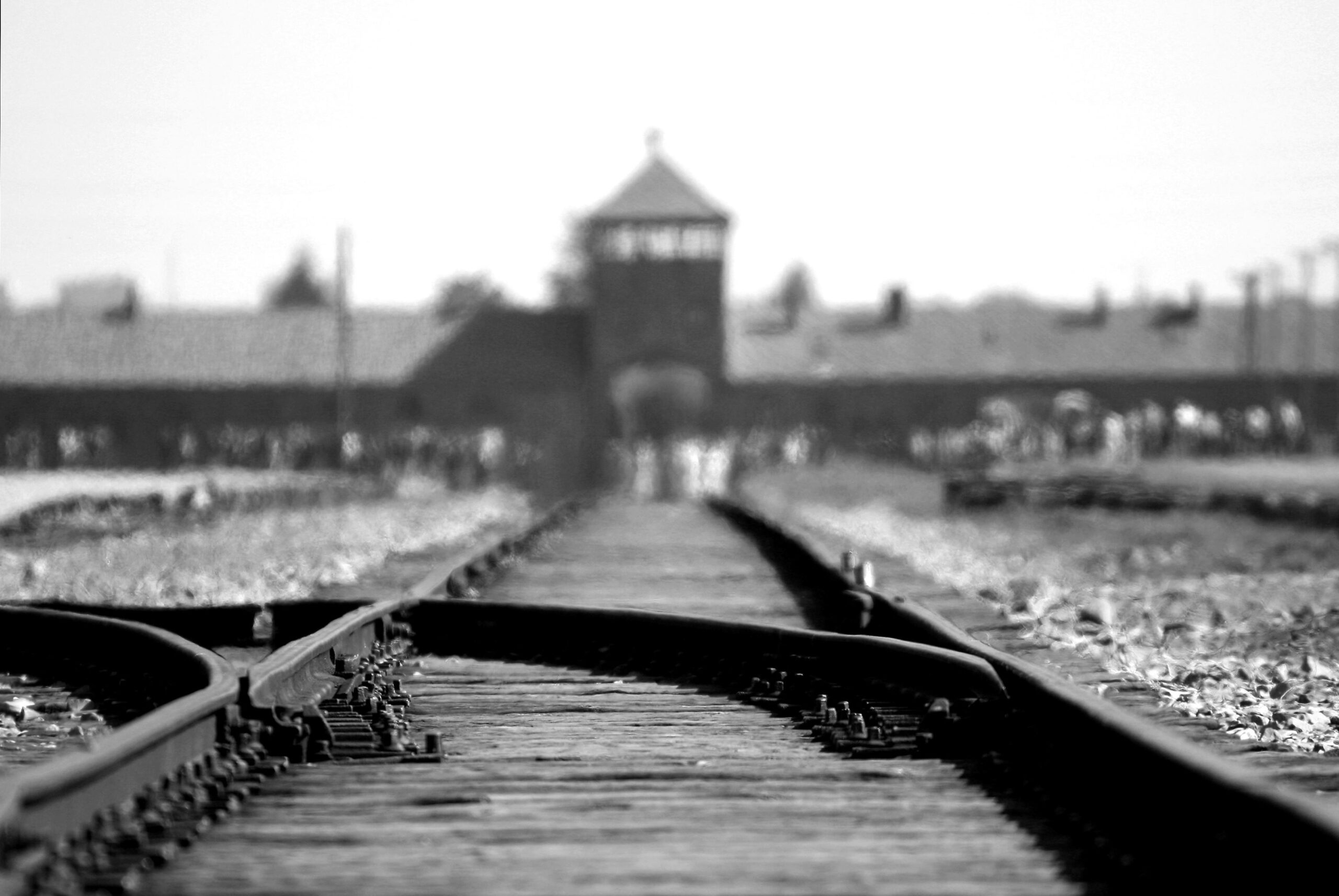 Imagen de migrantes