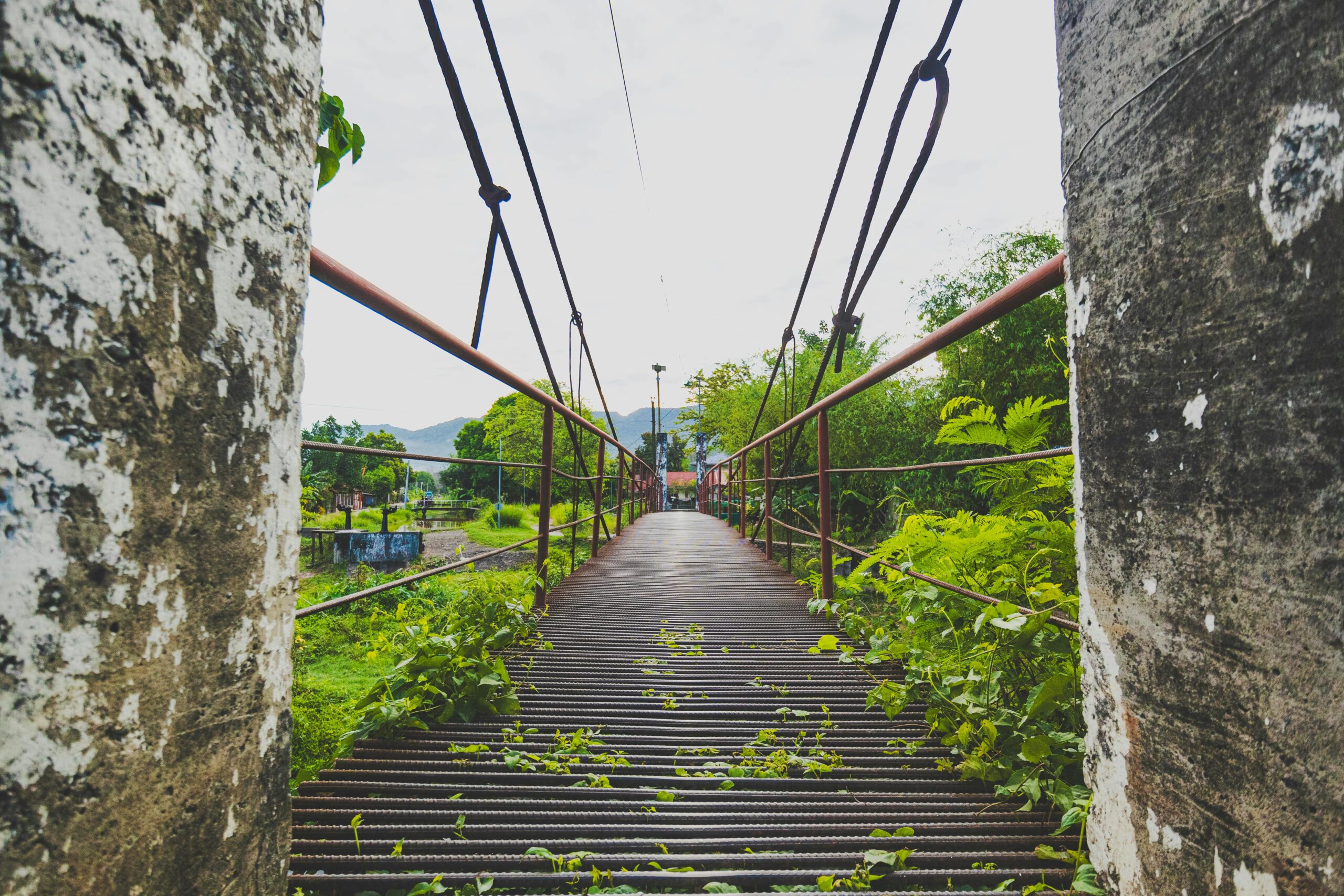 Imagen de alpha zombies