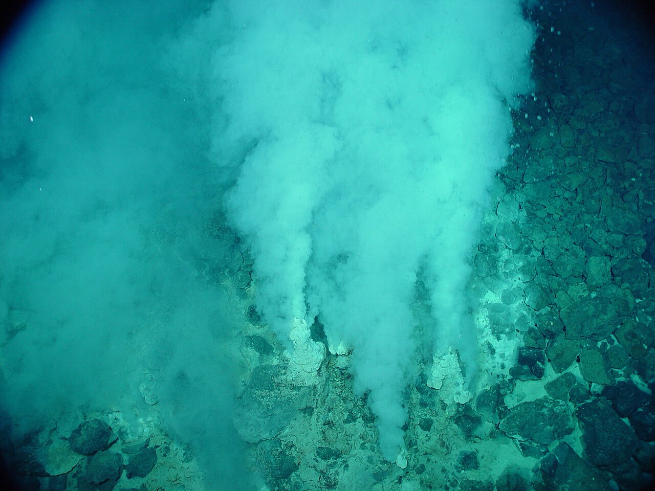 hydrothermal vent deep sea