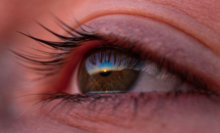 human eye close up iris color